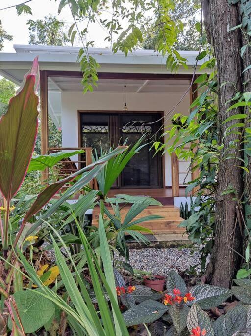 Little Yemanja Bungalow Puerto Viejo de Talamanca Exteriér fotografie