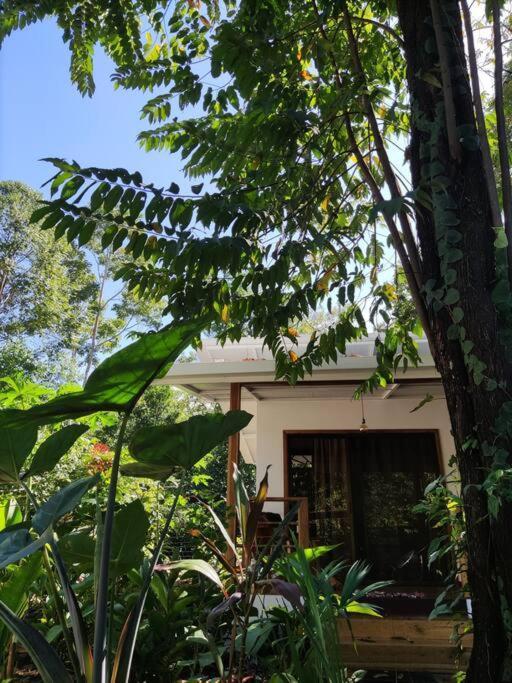 Little Yemanja Bungalow Puerto Viejo de Talamanca Exteriér fotografie